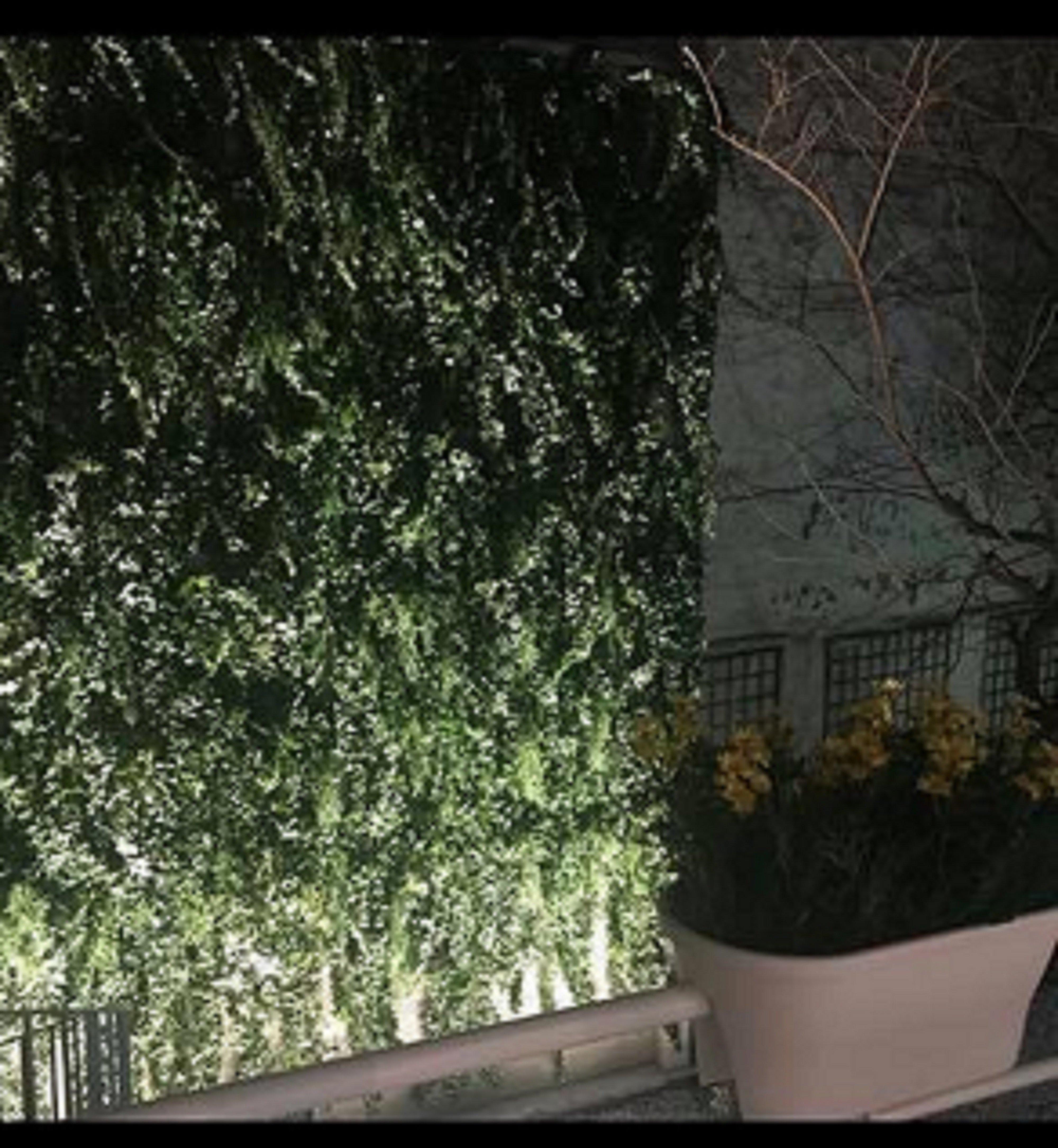 Montmartre By Ihg 4* Parijs